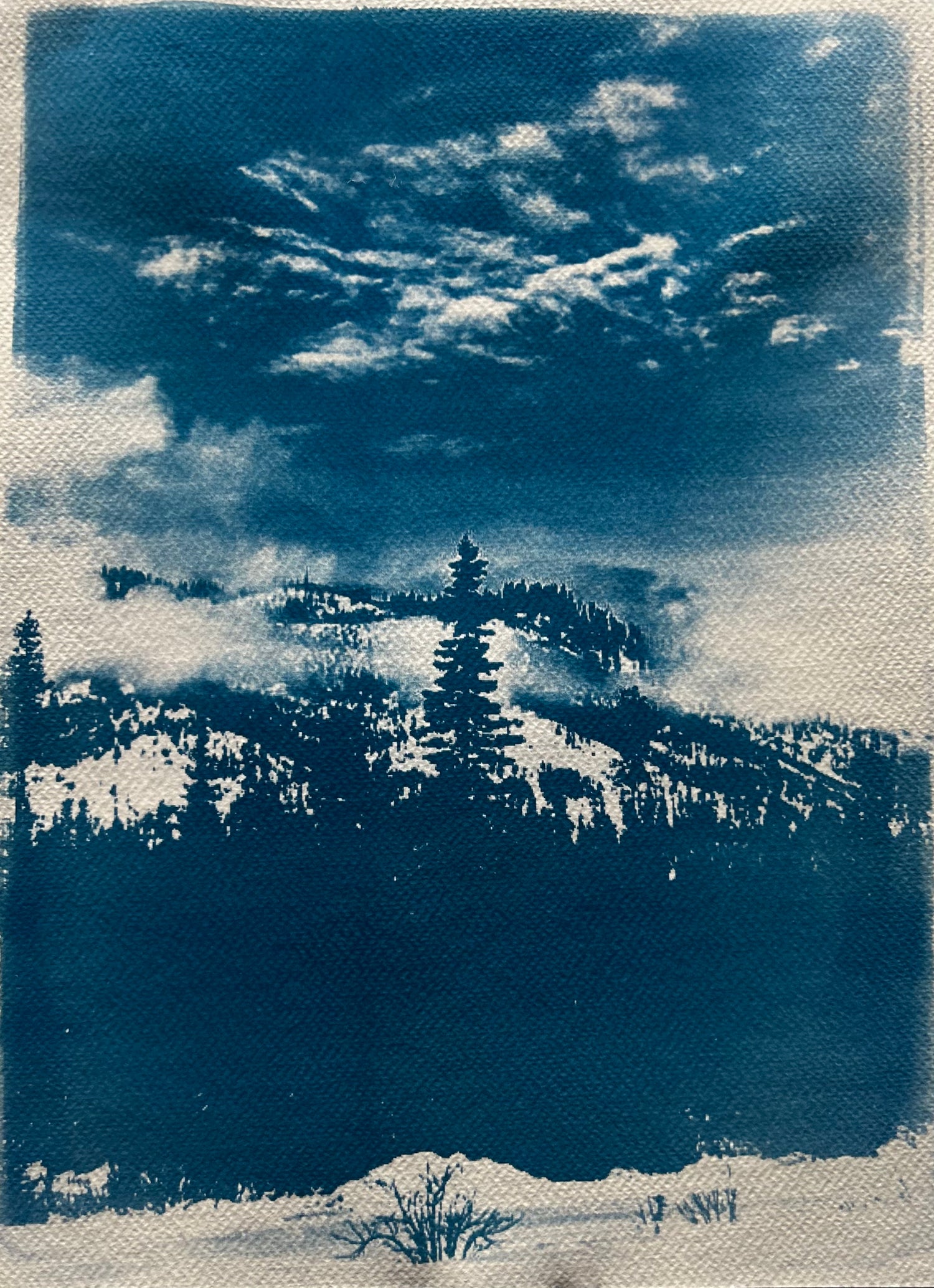 Cyanotype Art