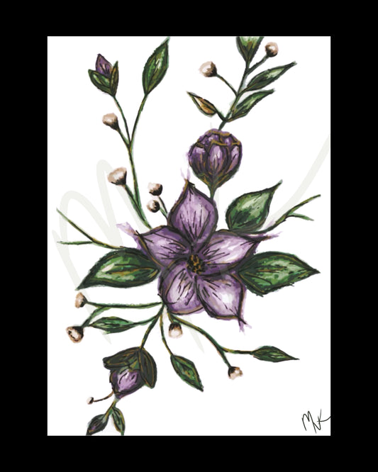 Violet Creeper