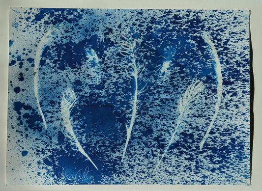 Speckled Feathers