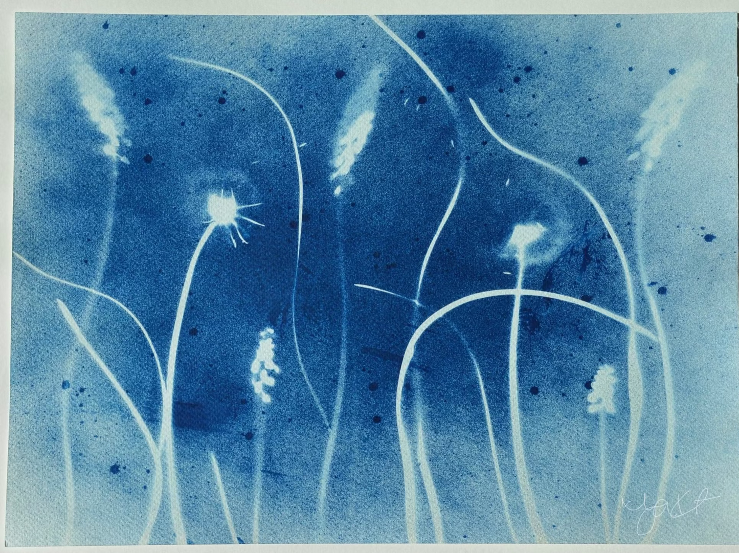 Flowing Dandelions