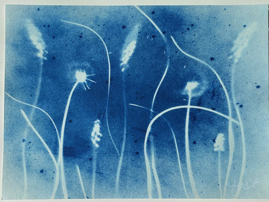 Flowing Dandelions
