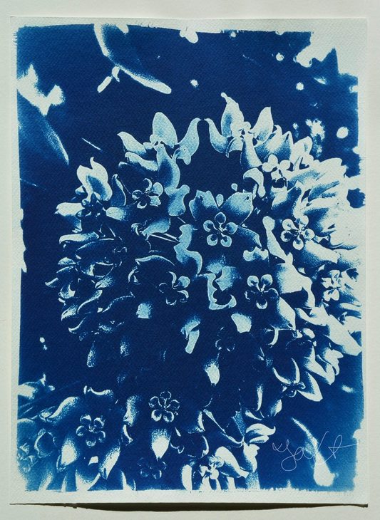 Floral Cluster