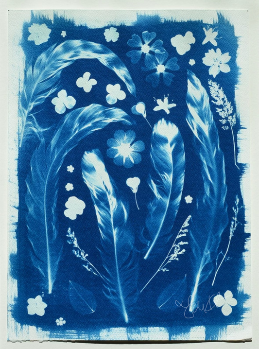 Feathers & Flowers